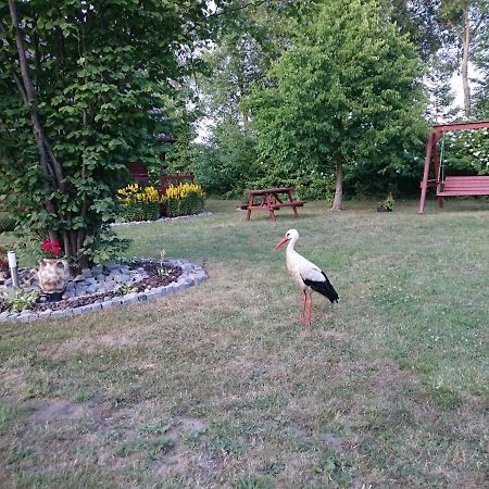 Agroturystyka i Domki Zacisze Jarosławiec Zewnętrze zdjęcie